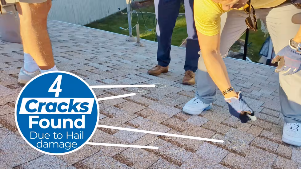 Digital Analysis Video